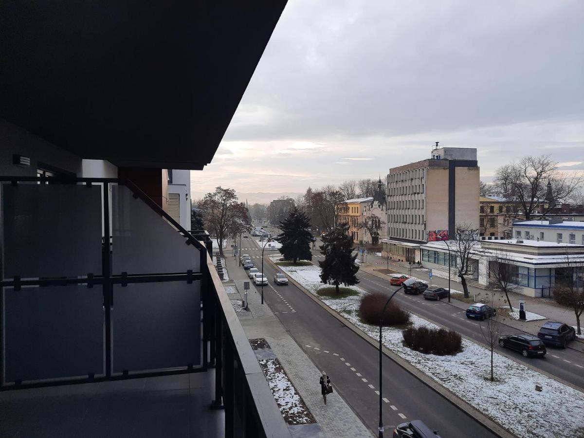 Apartament Przy Plantach Újszandec Kültér fotó